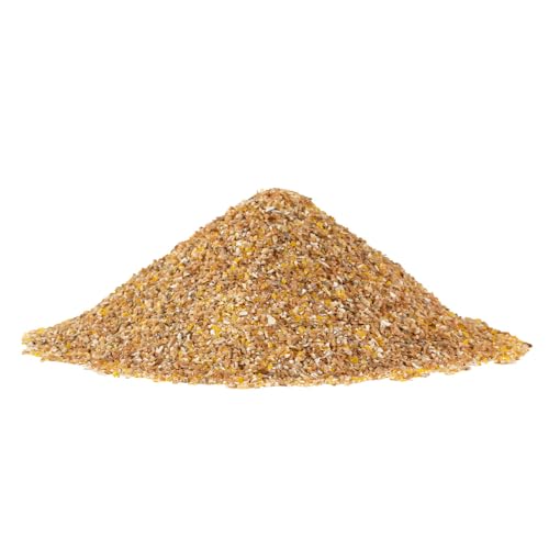 Bob's Red Mill 10 Grain Hot Cereal, 25 oz (Case of 4)