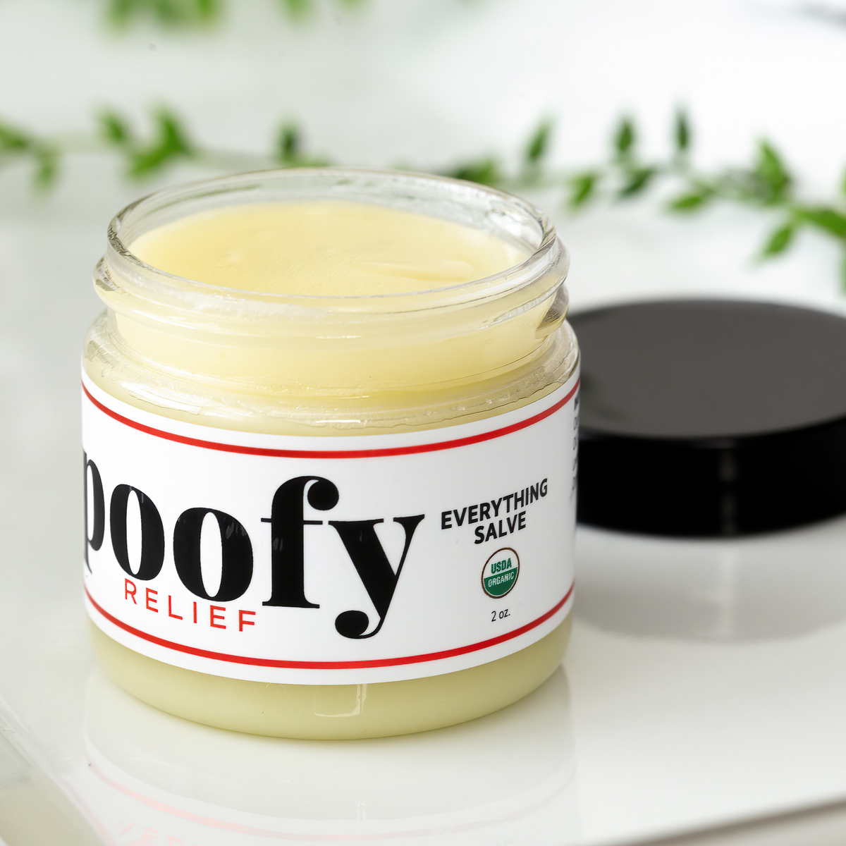 Everything Salve Organic — front label, photo 1