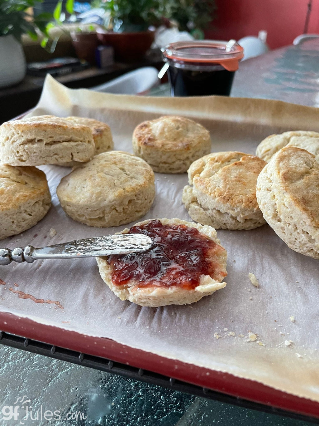 Gluten-Free Sourdough & Baking Flour | gfJules